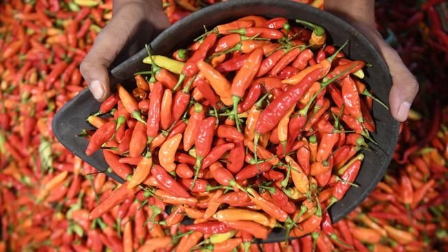 Harga Pangan Nasional Naik, Cabai Rawit Merah Rp41.950 dan Telur Ayam Rp31.500 per Kg
