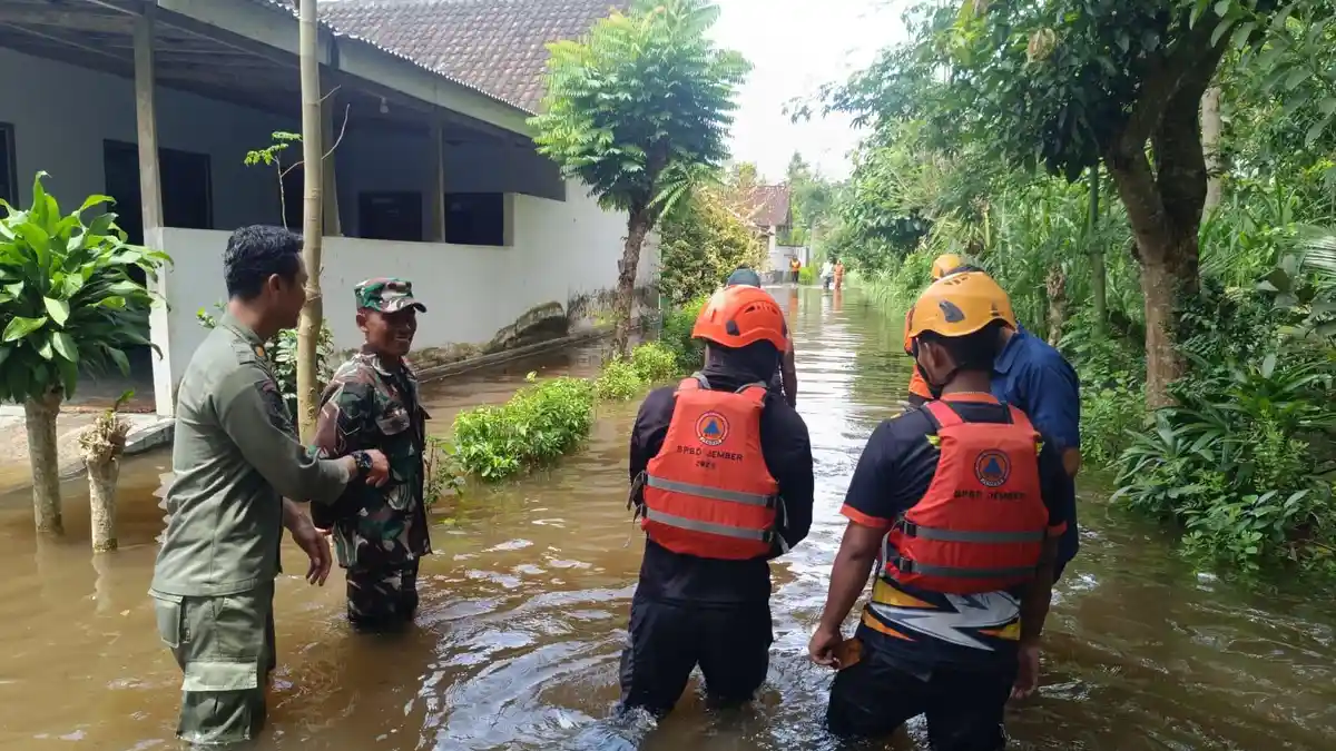Banjir Sungai Bedadung, 1.271 KK di Jember Terdampak