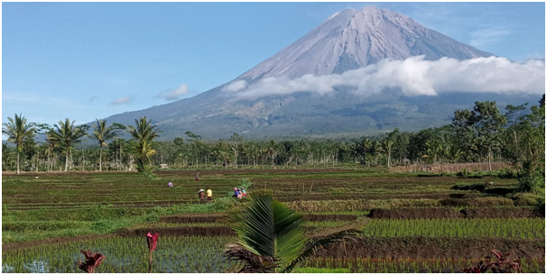 Aktivitas Gunung Semeru Masih Didominasi Gempa Letusan