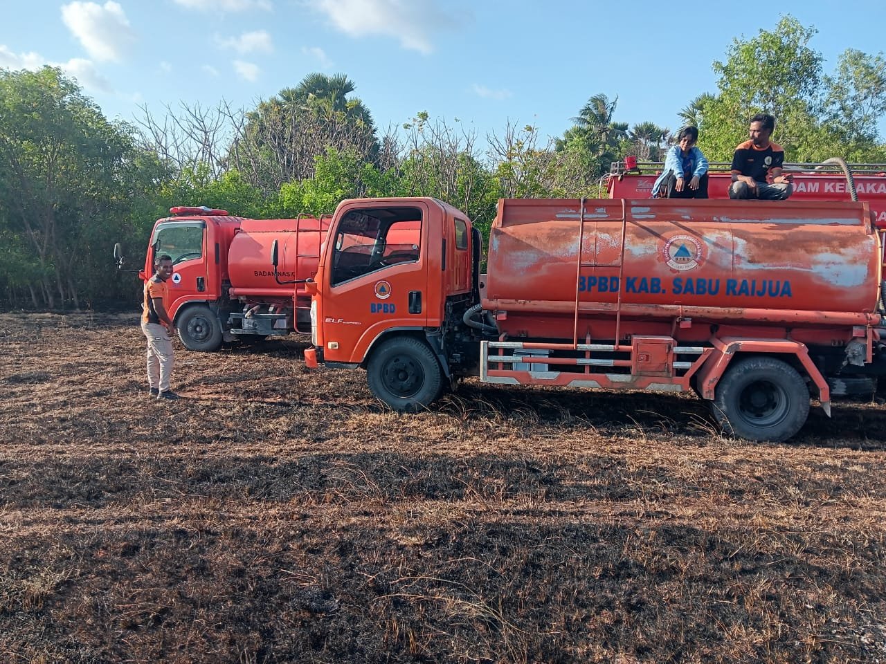 BNPB: Sisa Pembakaran Sampah Picu Kebakaran 20 Hektare Lahan di Sabu Raijua