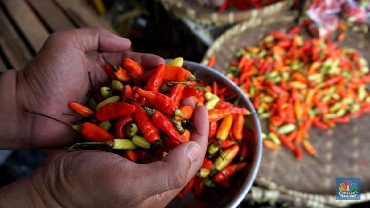 Cabai Rawit Melemah, Harga Telur Ayam Masih Stabil pada Perdagangan Hari Ini