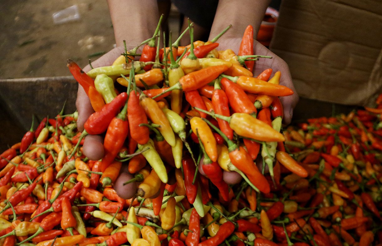 Harga Cabai Rawit Tembus Rp67.350, Telur Ayam Naik Jadi Rp29.350 per Kg